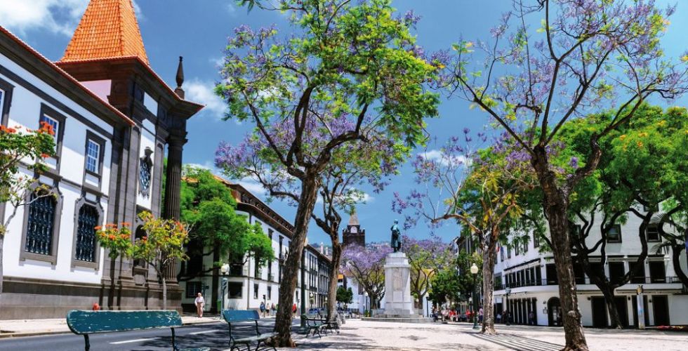 MADERE ENTRE CIEL ET MER 2026 - Image large 2