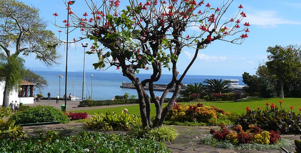 MADERE ENTRE CIEL ET MER 2026 - Image large 9