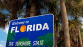 LA FLORIDE ET LES KEYS 2026 - Miniature 2
