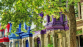 QUEBEC 2026 - Miniature 3