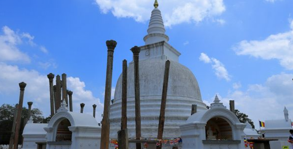 SRI LANKA 2026 - Image large 9