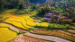 VIETNAM - 2026 - Miniature 4