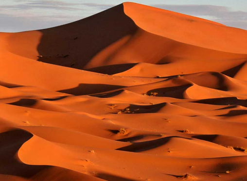 MAROC 2026 - Image catalogue 2