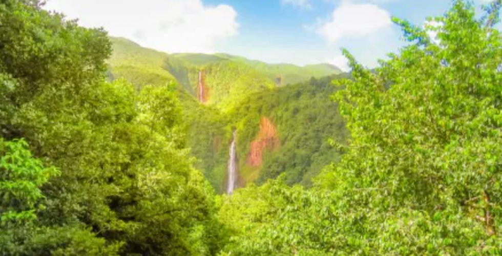 Antilles, Iles Vierges, Rep.Dominicaine 2026 - Image large 6