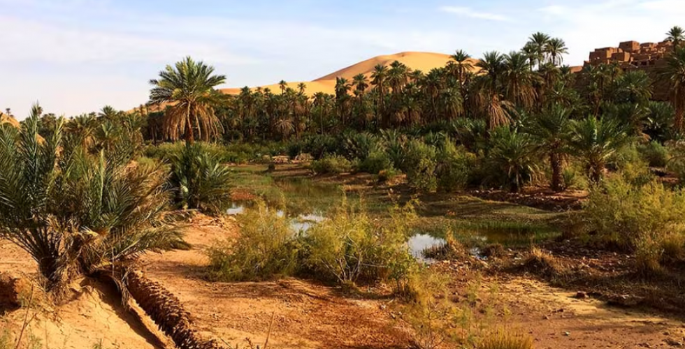ALGERIE 2026 - Image large 7