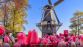 FETE DES TULIPES 26 - Miniature 1