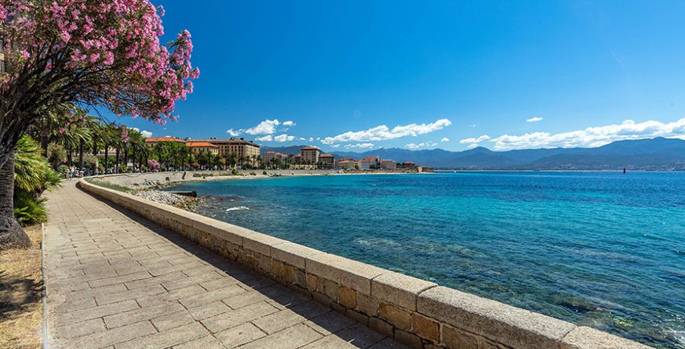 L'ESSENCE DE LA CORSE EN TRAIN 26 - Image large 6