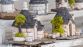 DECOUVERTE DES POUILLES 2027 - Miniature 6