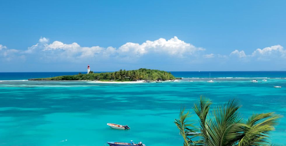 CROISIERE CARAIBES 2027 - Image large 10