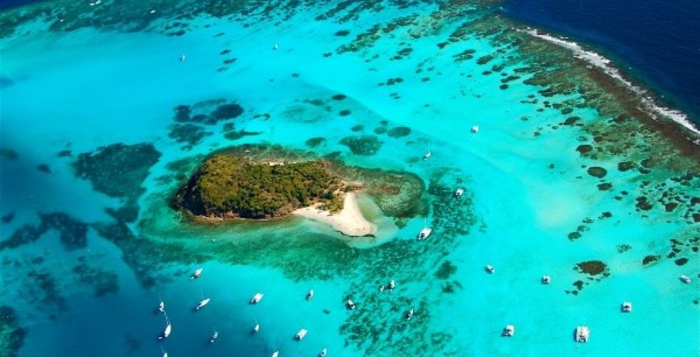 CROISIERE CATAMARAN ILES GRENADINES - Image large 1