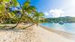 CROISIERE CATAMARAN ILES GRENADINES - Miniature 3