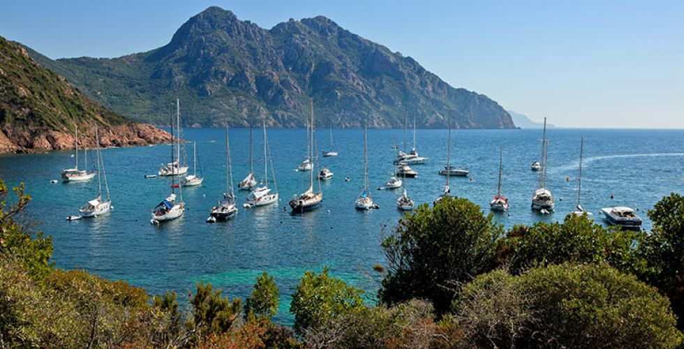 CORSE 2027 Jumbo Marina Viva - Image large 11