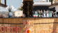 ALBANIE 2027 - Miniature 7