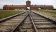 LA POLOGNE - Miniature 4