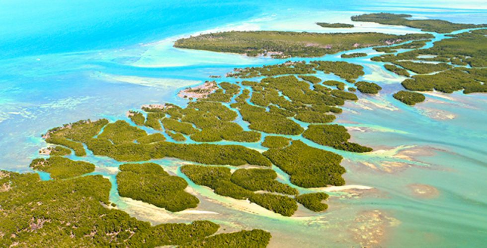 LA FLORIDE ET LES KEYS 25 - Image large 4
