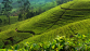 LE SRI LANKA  - Miniature 2