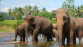 LE SRI LANKA  - Miniature 1