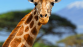 LE KENYA 8 JOURS. - Miniature 1