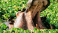LE KENYA 8 JOURS. - Miniature 4
