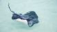 CROISIERE CARAIBES - Miniature 9