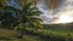 CROISIERE CARAIBES - Miniature 10