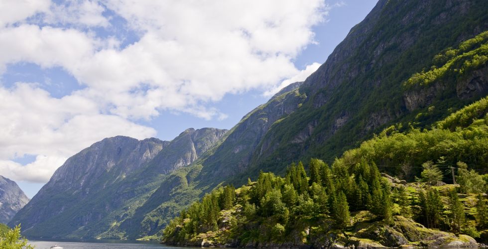 LES FJORDS DE NORVEGE - Image large 3