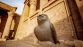 DECOUVERTE DE L'EGYPTE - Miniature 4