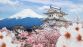 JAPON 25 - Miniature 5