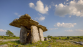 DECOUVERTE DE L'IRLANDE 25 - Miniature 4