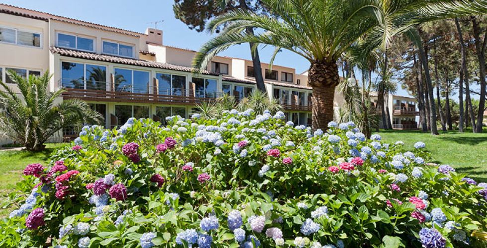CORSE JUMBO MARINA VIVA  RESIDENCE 2025 - Image large 11