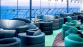 MSC LIRICA MAI 2025 - Miniature 3
