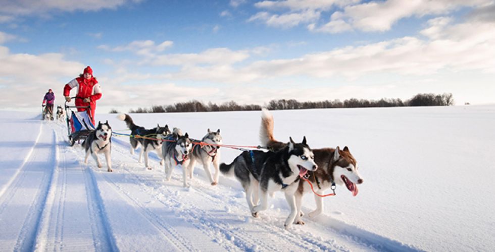 LAPONIE 2027 - Image large 2