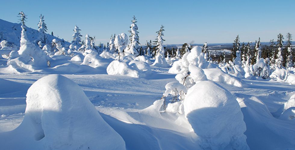 LAPONIE 2027 - Image large 13