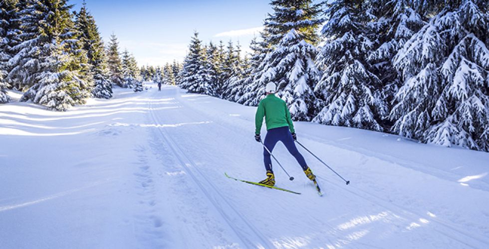 LAPONIE 2027 - Image large 11